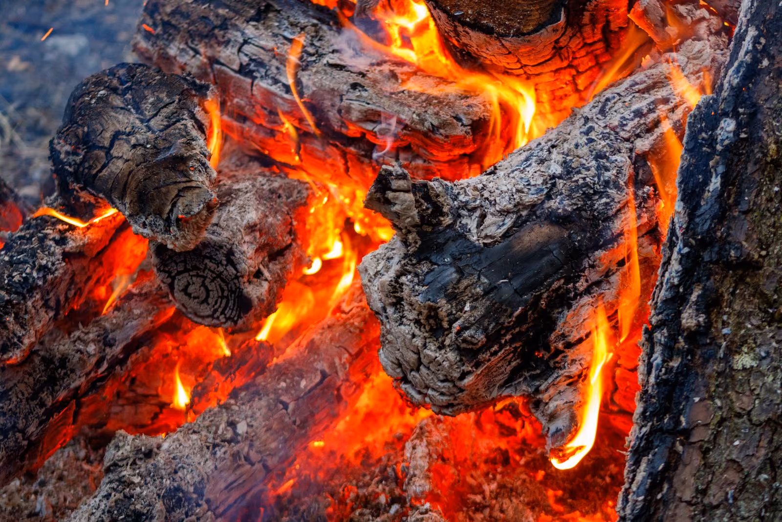 A warm campfire of burning logs glowing in the evening