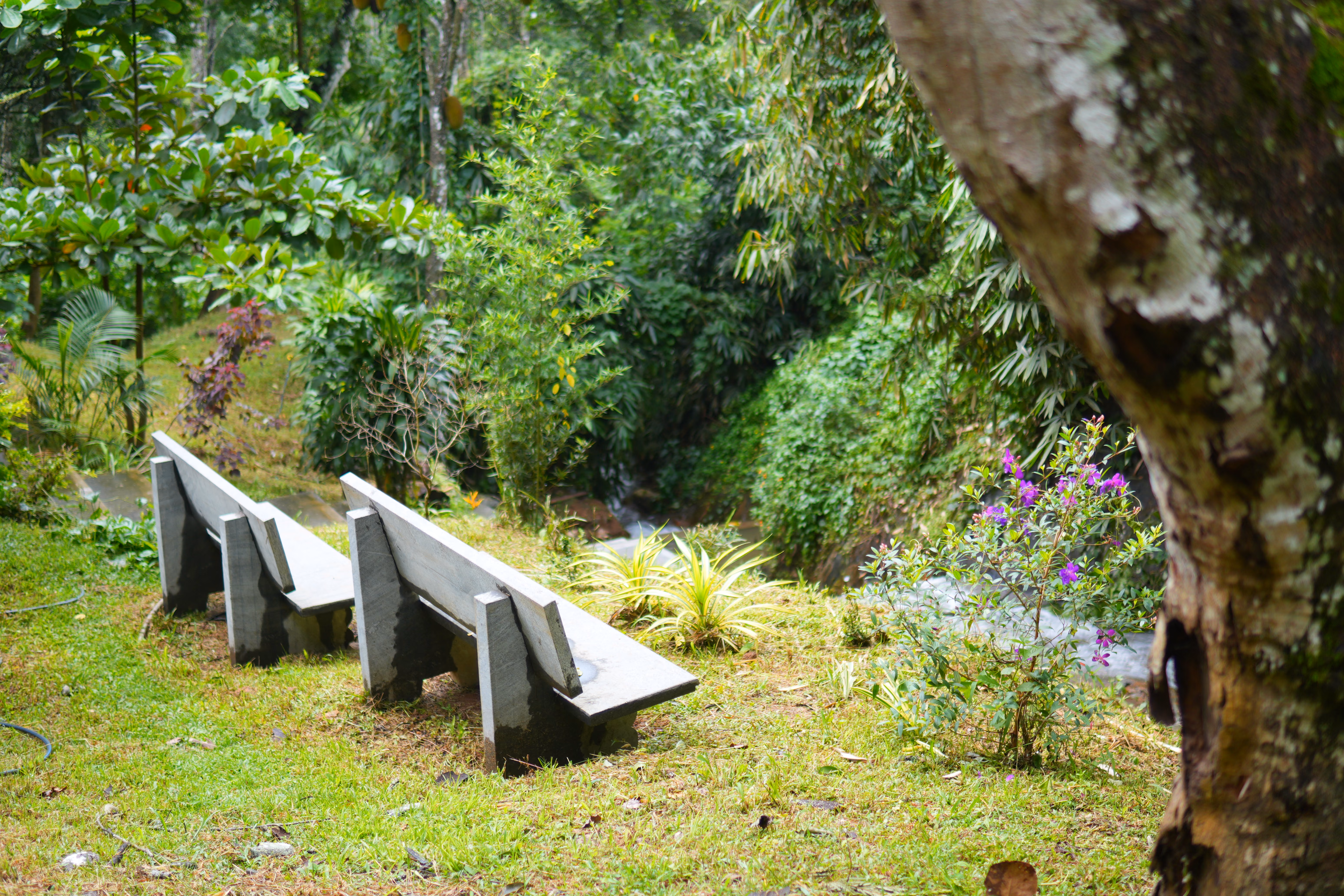 The HeartLand homestay house nestled in the hills