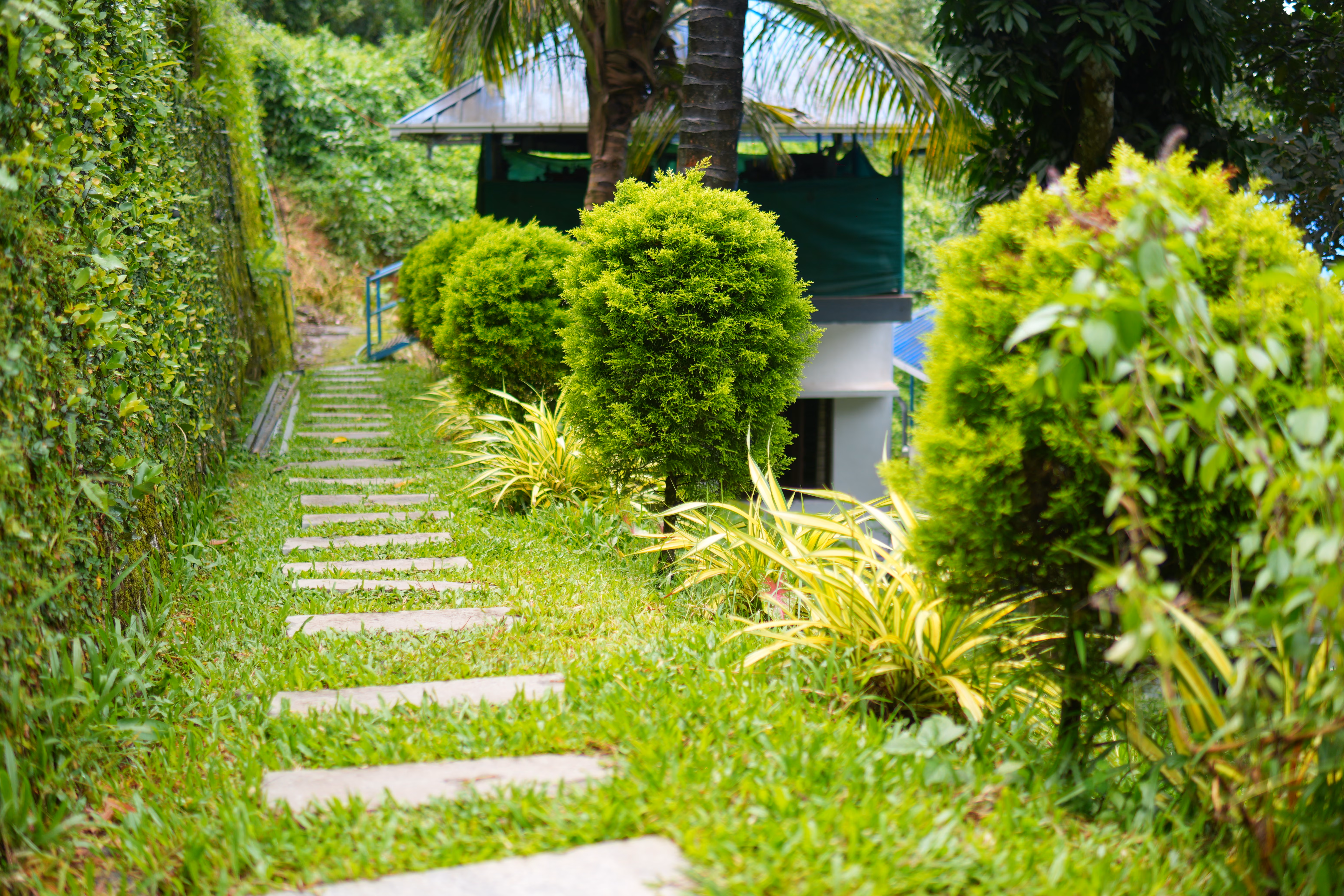 The secluded honeymoon cottage at HeartLand, Munnar