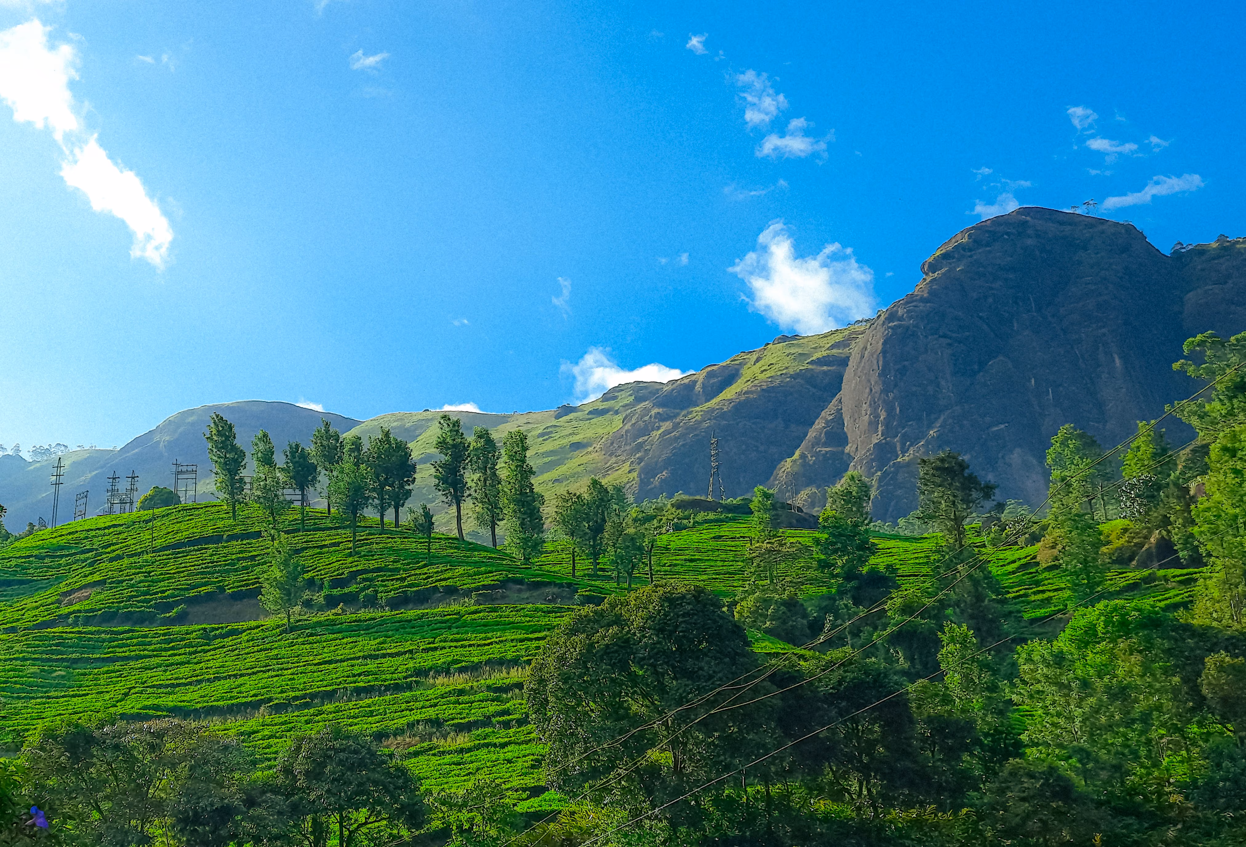 Golden hour light over the Munnar mountain ridges
