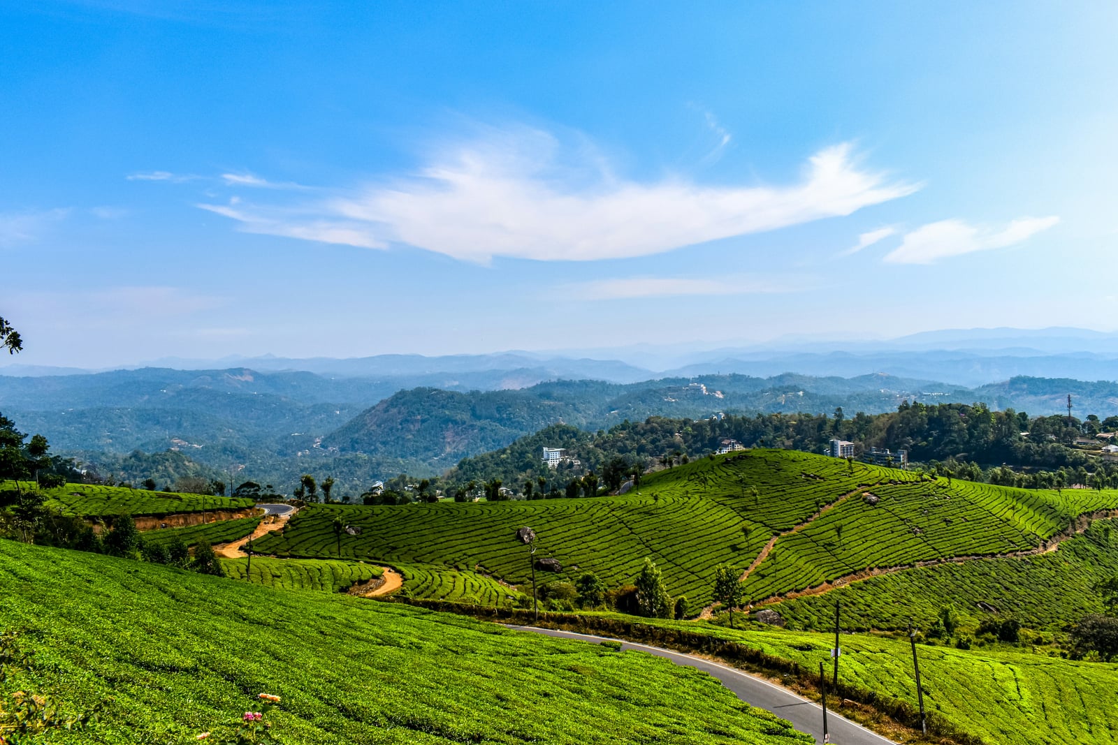 Munnar highlands around HeartLand