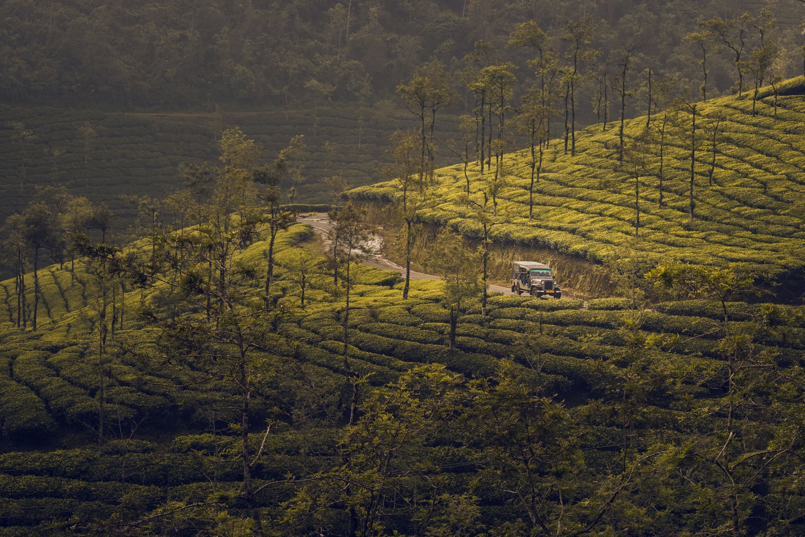 Munnar highlands around HeartLand